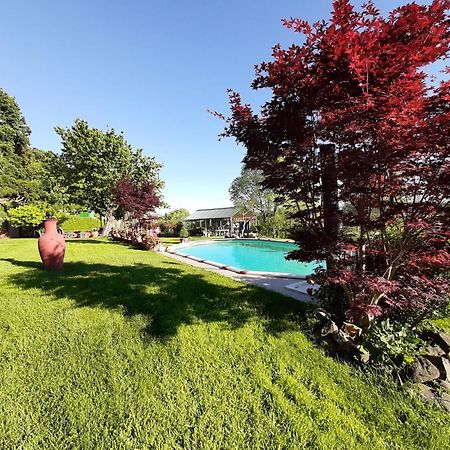 La Cupoletta -Holiday House - Gilda Trevignano Romano Exteriér fotografie
